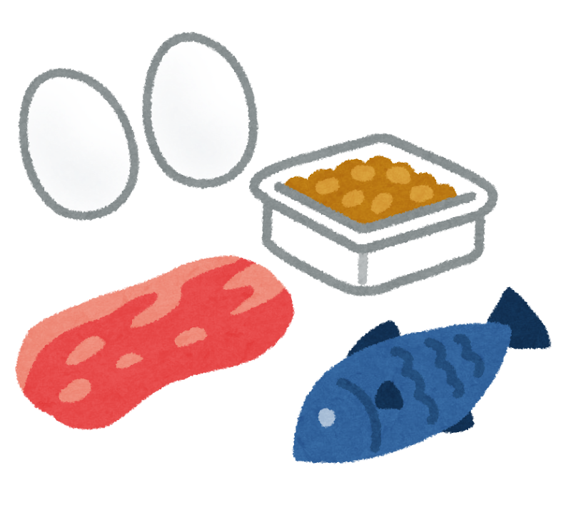 【若泉が10,000回叫んだ】なぜタンパク質は毎日3食必要なのか？肌・筋肉・腎臓への影響まで徹底解説