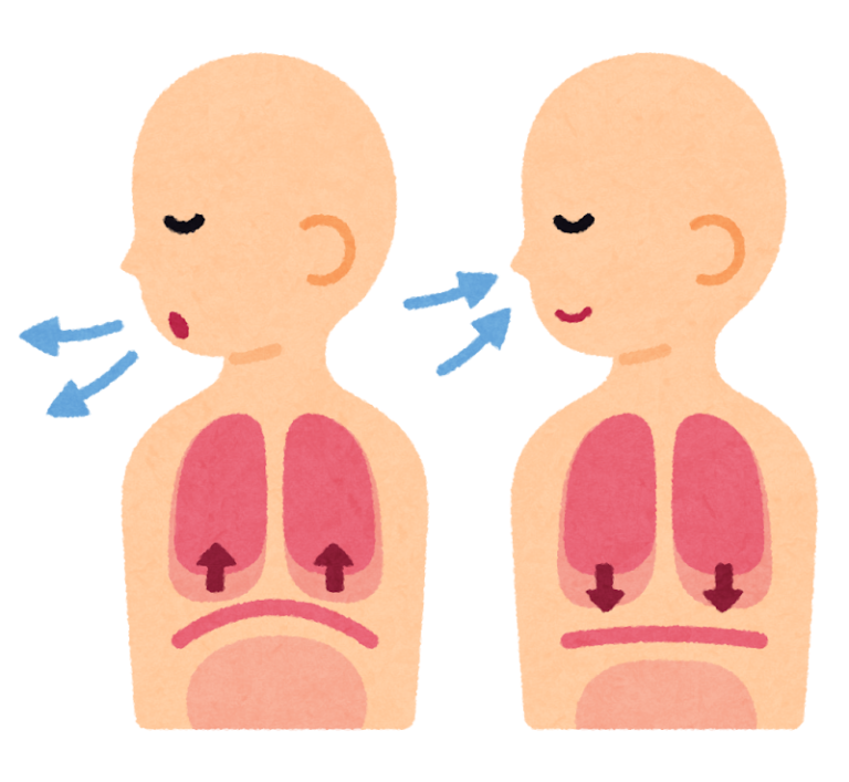 重い物を持つと腰が痛い？横隔膜と腹圧を使った「腰痛を防ぐ正しい呼吸法」を解説！
