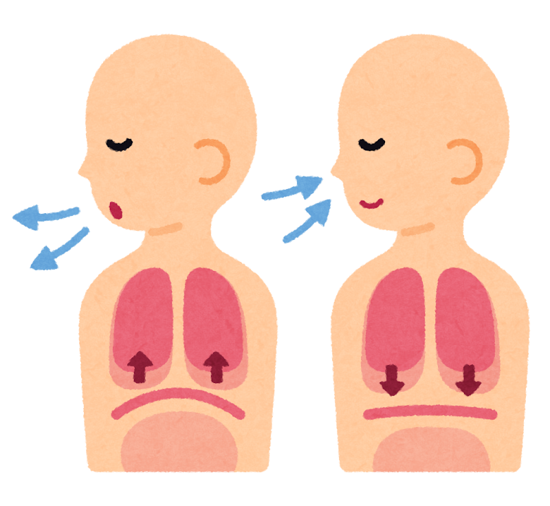 重い物を持つと腰が痛い？横隔膜と腹圧を使った「腰痛を防ぐ正しい呼吸法」を解説！