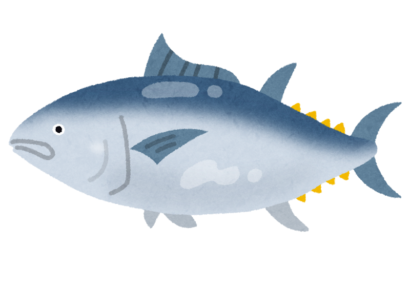 ⭐️ 大きな魚に含まれる「水銀」に注意！⚠️⭐️