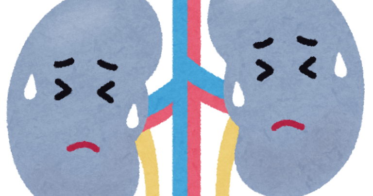 ⭐️腎臓が悪くても骨が脆くなる⁉️😨⭐️