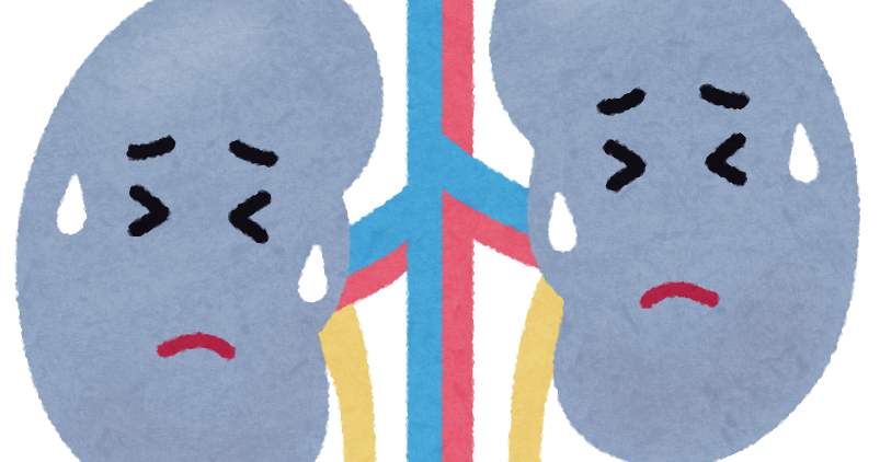 ⭐️腎臓が悪くても骨が脆くなる⁉️😨⭐️